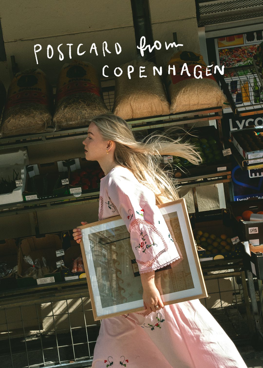 Postcard from Casablanca